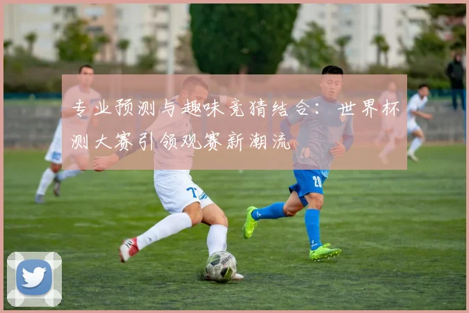 专业预测与趣味竞猜结合:世界杯测大赛引领观赛新潮流