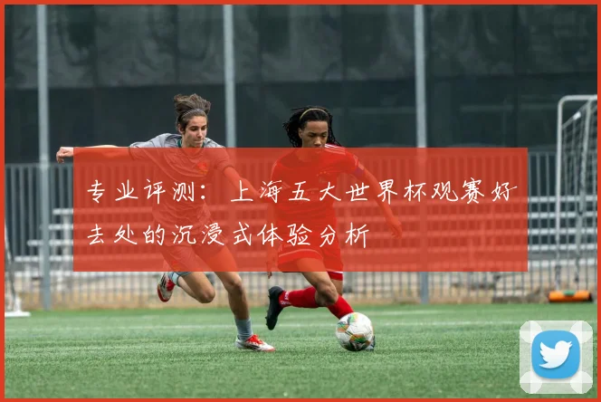 专业评测:上海五大世界杯观赛好去处的沉浸式体验分析