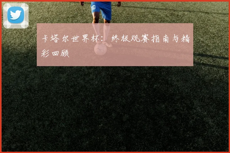 卡塔尔世界杯：终极观赛指南与精彩回顾