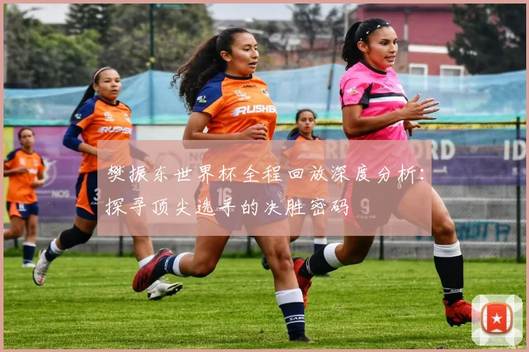 樊振东世界杯全程回放深度分析：探寻顶尖选手的决胜密码