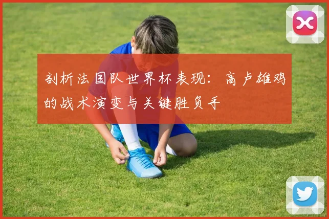 剖析法国队世界杯表现:高卢雄鸡的战术演变与关键胜负手