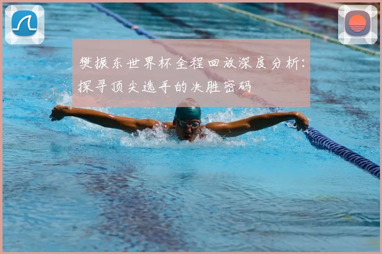 樊振东世界杯全程回放深度分析：探寻顶尖选手的决胜密码