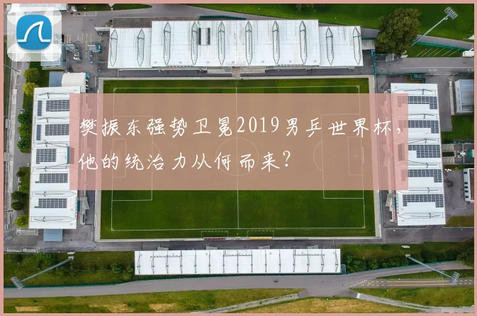 樊振东强势卫冕2019男乒世界杯，他的统治力从何而来？